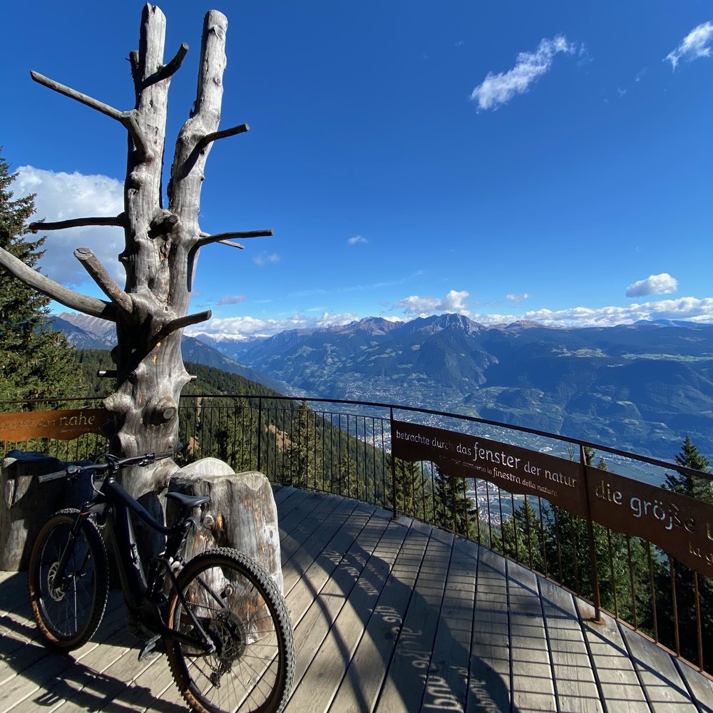 Mountainbike an einem toten Baumstamm auf einer Aussichtsplattform, dahinter Bergpanorama